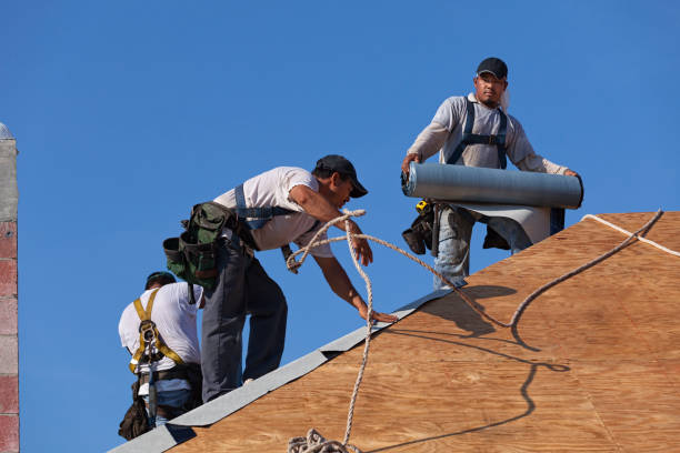 Best Commercial Roofing Services  in South Roxana, IL